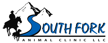 South Fork Animal Clinic